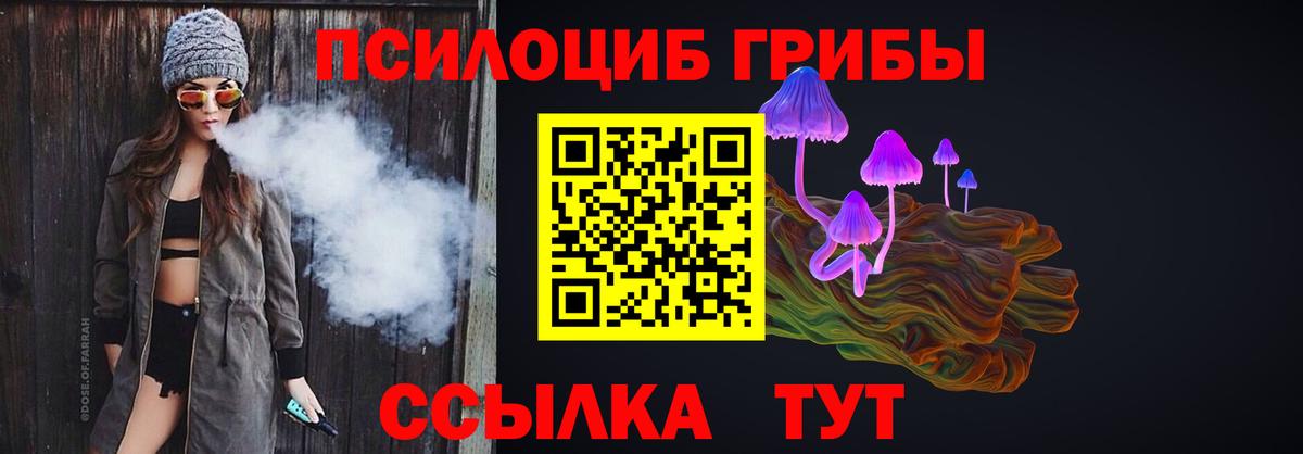 Галлюциногенные грибы прущие грибы Кировск